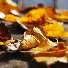 免费ddos在线攻击