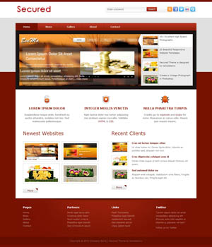 网站ddos隐藏源ip